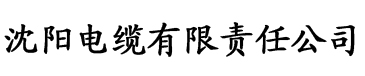 九一版香蕉视频电缆厂logo